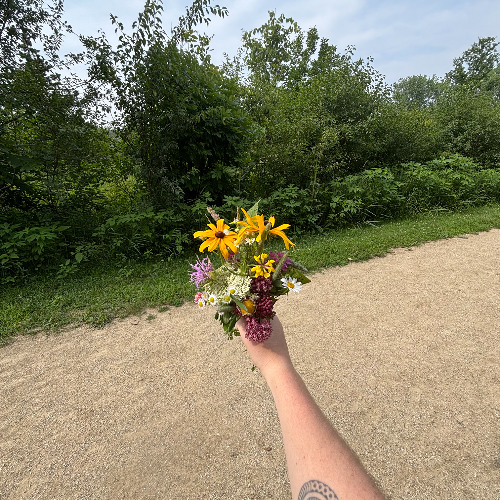 Spring