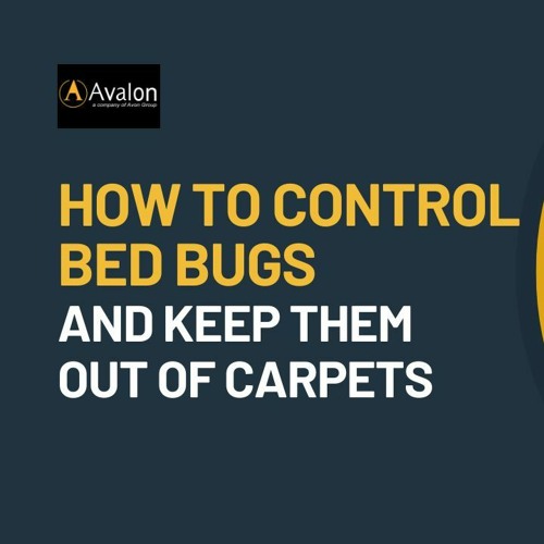 Stream How To Control Bed Bugs Out of Carpets by Avalon Services Pte