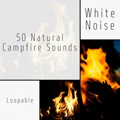 Forest Campfire, White Noise (Loopable)