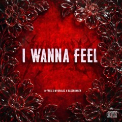 D-Frek, Mydriaaz & Bassrunner - I WANNA FEEL