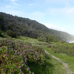 Pathways