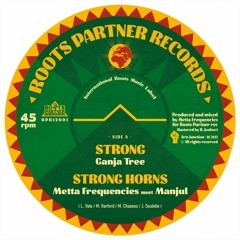 Ganja Tree / Metta Frequencies meet Manjul - Strong [RPR12001 - preview]