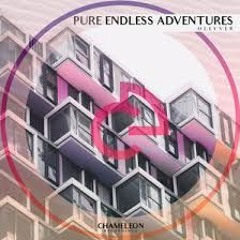 Pure Endless Adventures