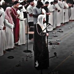 تلاوة خاشعة لـــ سورة ص | هيثم الدخين