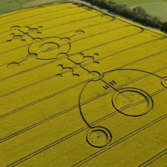 Crop Circles