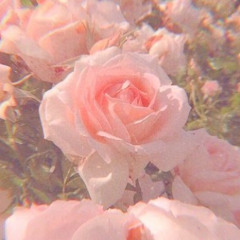 Onegai My Melody