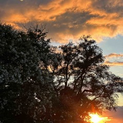 cry with you - jeremy zucker (liam ross cover)