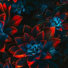 مهرجان _ انتي جمالك _ هادي الصغير و امين خطاب - تو(MP3_160K)_1.mp3