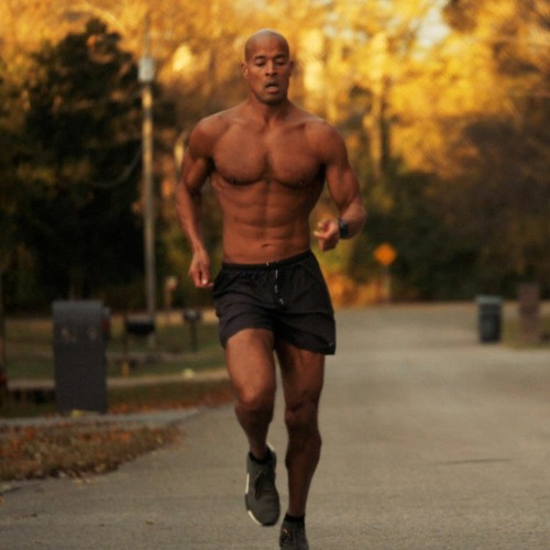 David Goggins X Greg Pitt X Jocko Willink