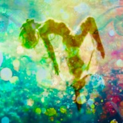 Dance Sanctuary Set--The Grand Finale 12.31.2021