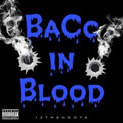 13th Shoota-baCc In Blood ft its fendii
