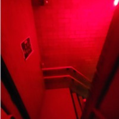 The Back Room