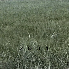 Garden of Euphoria // 2001