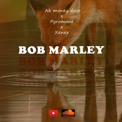 AK MONEY DOOR FT XENEX & PYROMANE( BOB MARLEY)