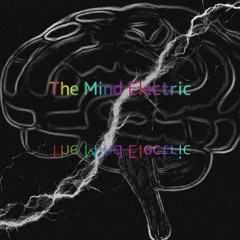 THE MIND ELECTRIC