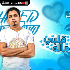 مهرجان 2021_ قلبي ماله_غناء وتوزيع احمد عفروتو_تريند التيك توك