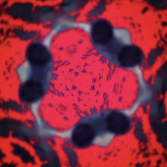 Lesanious x heartbreaker 💔 ft Peacewar