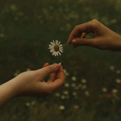 Forever