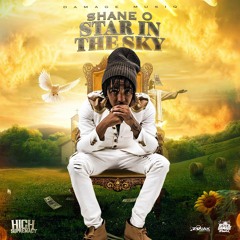Shaneo - Star in the Sky