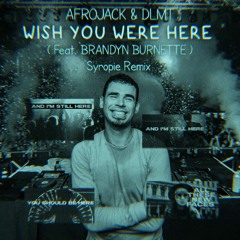 Afrojack & DLMT- Wish You Were Here (Feat. Brandyn Burnette ) Syropie Remix