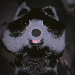raccoon heaven