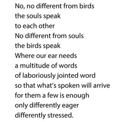 Nazm 7 – no different from birds the souls speak