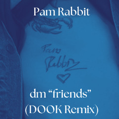 dm "friends" - Pam Rabbit (DOOK Remix)