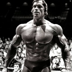 Arnold Schwarzenegger stud 😈