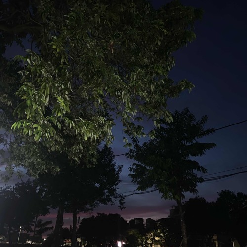 Cái cook lúc đóng lúc mở by QUỐC LV