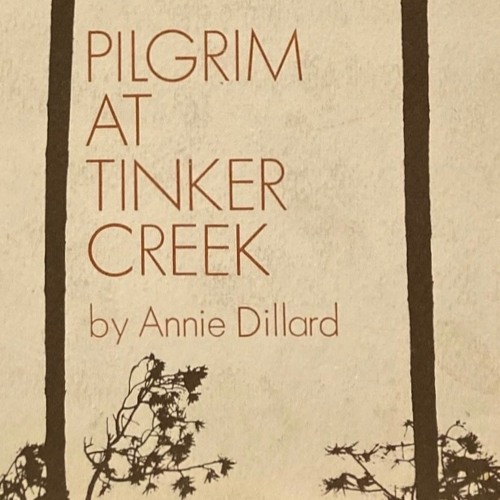 Pilgrim at Tinker Creek by Annie Dillard