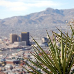 The Legend of Molly T Malone