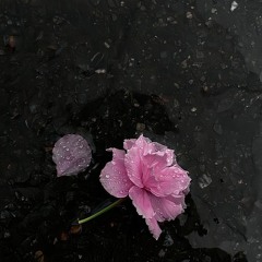 ed maverick - culpa (la nube en el jardin)