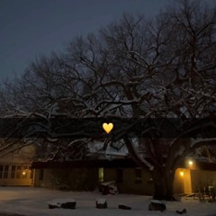 always under the same moon