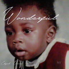 Wonderful-1.wav