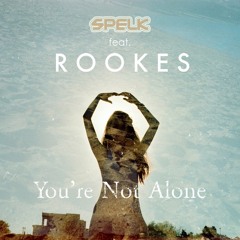 You're Not Alone (feat. Rookes)