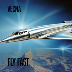 Fly Fast ( Original mix )