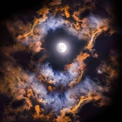 my body is a cage - 82.mp3