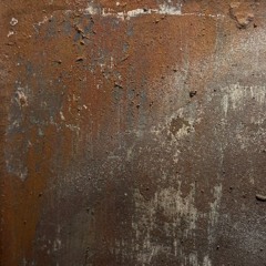 SenSen - Antrodislexico