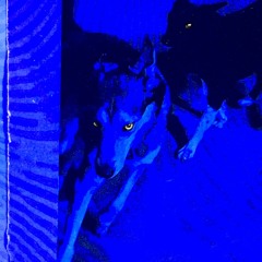 09_28 II nba yb type beat