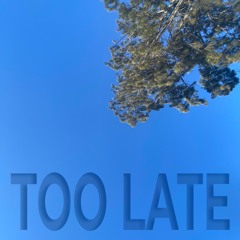 Too Late (prod. Miler) *OUT EVERYWHERE*