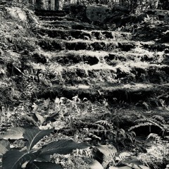 8. All Your Way . The Recyclists . Starry Plough 9.21.24