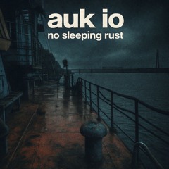 no sleeping rust.mp3