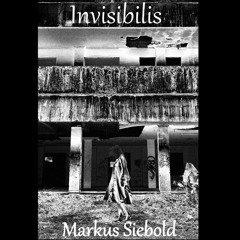 Invisibilis