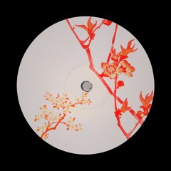PREMIERE: Nicolas Barnes  -  Aquitaine (Original Mix)