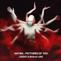 Anyma - Pictures Of You (JUDICI & Molinoir Edit Filtered)