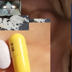 Dejvo došel - Venca neni