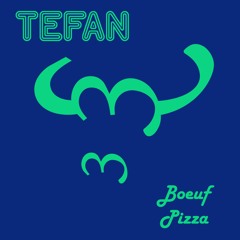 TEFAN - Boeuf Pizza