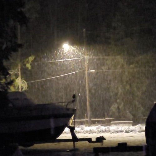 Turned To Grey demo 5