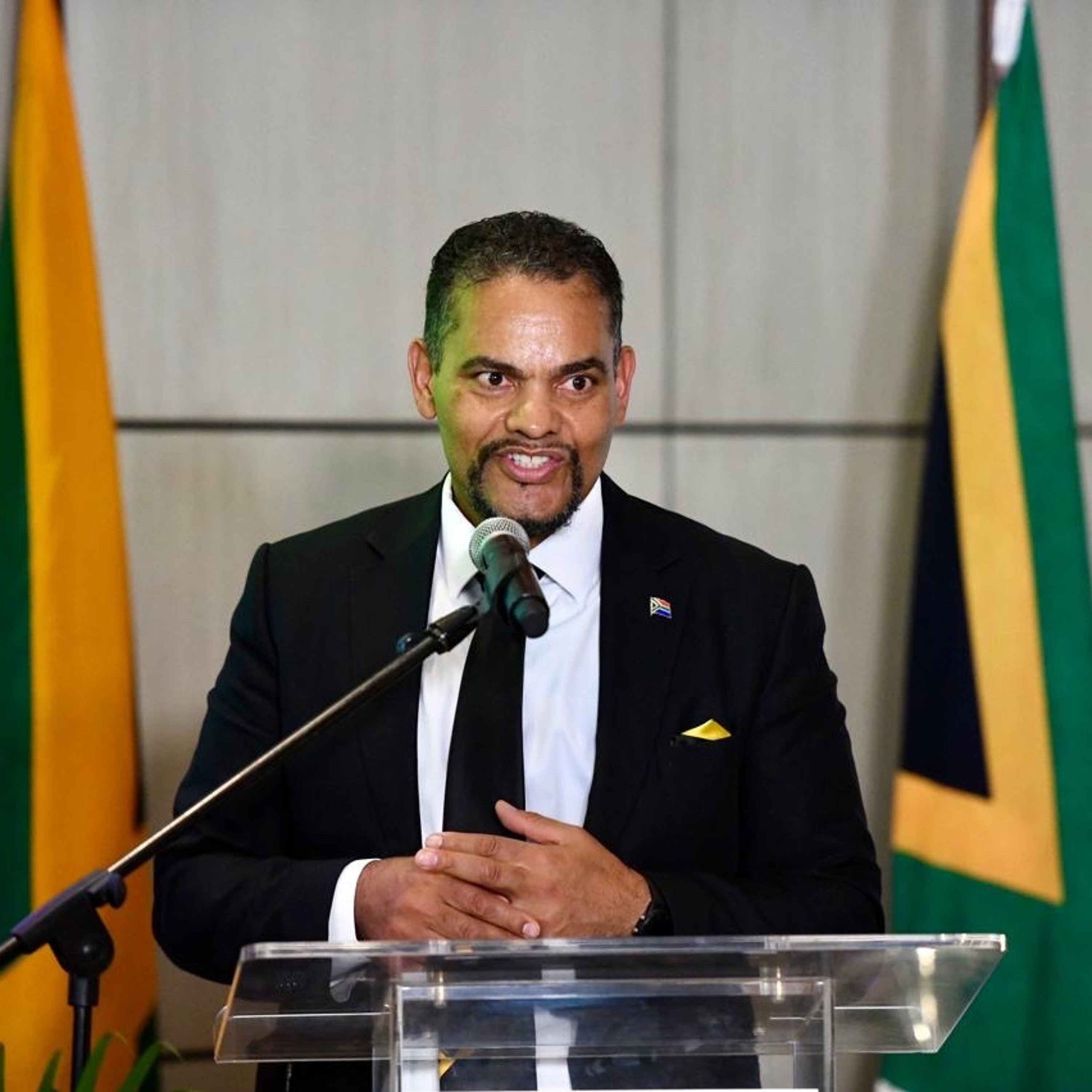 DEPUTY MINISTER ALVIN BOTES ADDRESS JAMAICA PRIVATE SECTOR MINISTERIAL LUNCHEON