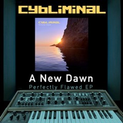 Cybliminal - A New Dawn (Perfectly Flawed EP)